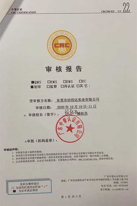 審核報告